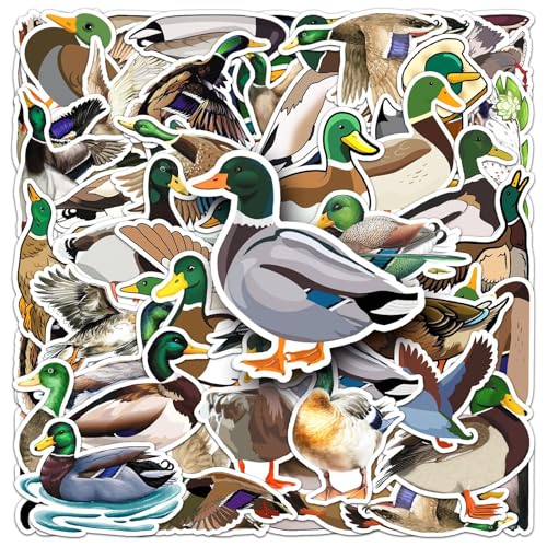 50Stück Stockente Aufkleber für Fahrrad,Gepäck,Kühlschrank,Laptop,Stoßstange, Auto,Motorrad,Gitarre, Wasserdichte Vinyl Ente Aufkleber,Geschenk für Kinder Mädchen,Cartoon Green Duck Süße Sticker von TUIOBUN