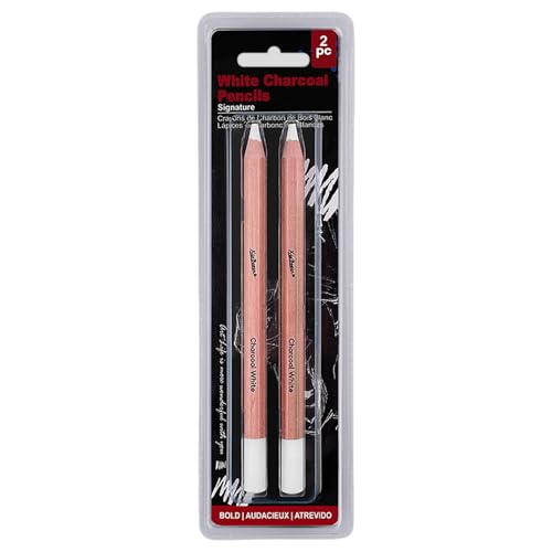 2/3 Stück/Set Skizzenstifte Highlight-Stift Weiß Kohlestift Zeichenstifte Professionelle Skizzierstifte von TWEW