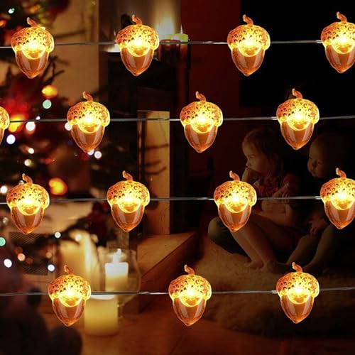 3D Eichel Herbst Dekor Ernte String Lichter Batteriebetrieben Thanksgiving Dekorative Lichterkette LED Halloween Party Dekoration Fenster Lichter für Haus Schlafzimmer Weihnachten(13.12ft/40 lights) von TXDYWZYGS