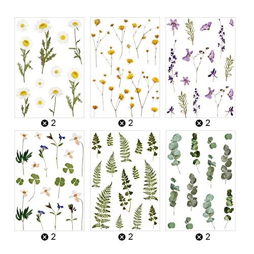 TXErfolg 12 Blatt Scrapbooking Sticker Grüne Blätter Aufkleber PET Pflanzen Blumen Sticker Set Selbstklebend Wasserdicht Blatt Aufkleber für Tagebuch Fotoalbum DIY Handwerk Notizbuch Kalender von TXErfolg