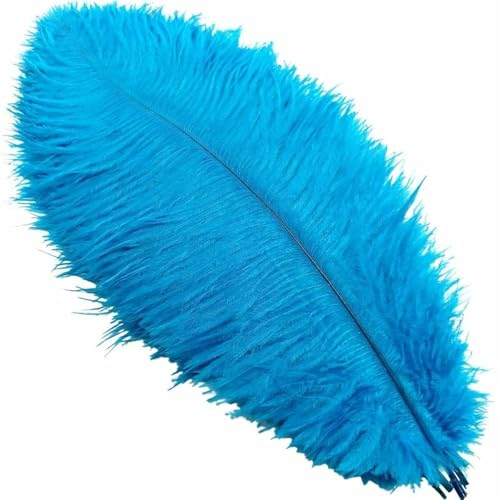 TXLEAPEY StraußEnfedern 10–200 Flauschige, seeblaue Straußenfedern for Basteln, for Hochzeitstischdekoration, DIY-Federschmuck, Karnevalszubehör, 15–70 cm(65-70cm Big Pole,10pcs) von TXLEAPEY