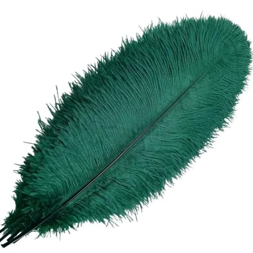 TXLEAPEY StraußEnfedern 10–500 Stück dunkelgrüne Straußenfedern Plumas for Selbermachen, Basteln und Basteln von Schmuck, Alles for handgefertigte Dekorationsaccessoires(20-25CM Small Pole,100pcs) von TXLEAPEY