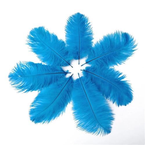 TXLEAPEY StraußEnfedern 10 PCS Straußenfedern 15-20CM/6-8 Zoll Flauschige gefärbte Federn for Hochzeitszubehör Party Home Dekoration Handwerk(Lake Blue) von TXLEAPEY