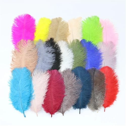 TXLEAPEY StraußEnfedern 10 PCS Straußenfedern 15-20CM/6-8 Zoll Flauschige gefärbte Federn for Hochzeitszubehör Party Home Dekoration Handwerk(Mix Color) von TXLEAPEY