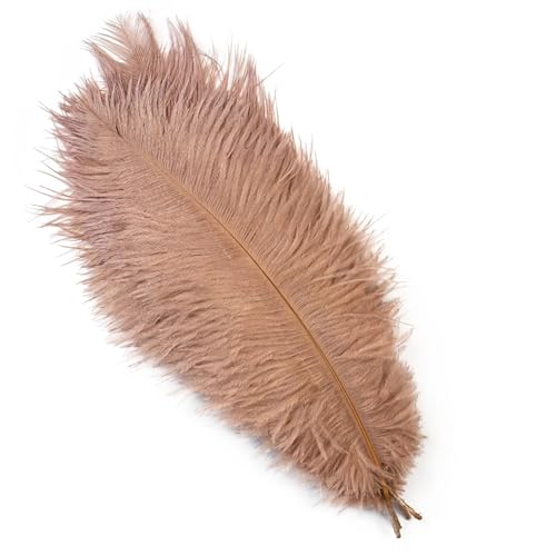 TXLEAPEY StraußEnfedern 10 STÜCKE 15-60 cm Große Straußenfedern Straußenfedern Tischdekoration Party Hochzeit Zubehör Dekoration(Brown,15-20cm) von TXLEAPEY