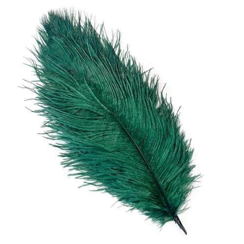 TXLEAPEY StraußEnfedern 10 STÜCKE 15-60 cm Große Straußenfedern Straußenfedern Tischdekoration Party Hochzeit Zubehör Dekoration(Dark Green,15-20cm) von TXLEAPEY