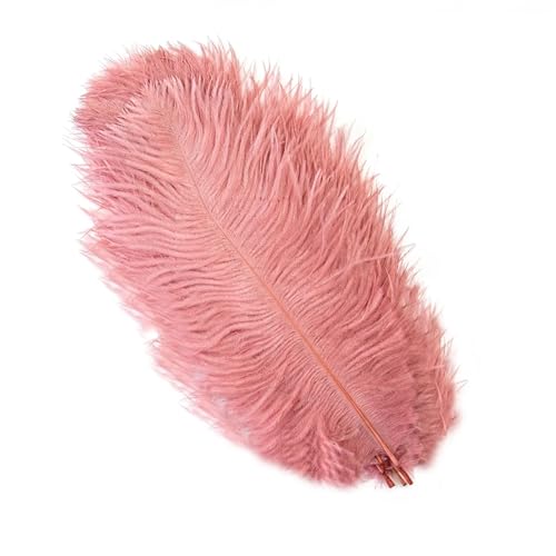 TXLEAPEY StraußEnfedern 10 STÜCKE 15-60 cm Große Straußenfedern Straußenfedern Tischdekoration Party Hochzeit Zubehör Dekoration(Dark Leather Pink,15-20cm) von TXLEAPEY