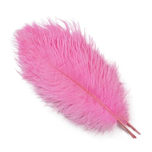 TXLEAPEY StraußEnfedern 10 STÜCKE 15-60 cm Große Straußenfedern Straußenfedern Tischdekoration Party Hochzeit Zubehör Dekoration(Dark pink,25-30cm) von TXLEAPEY