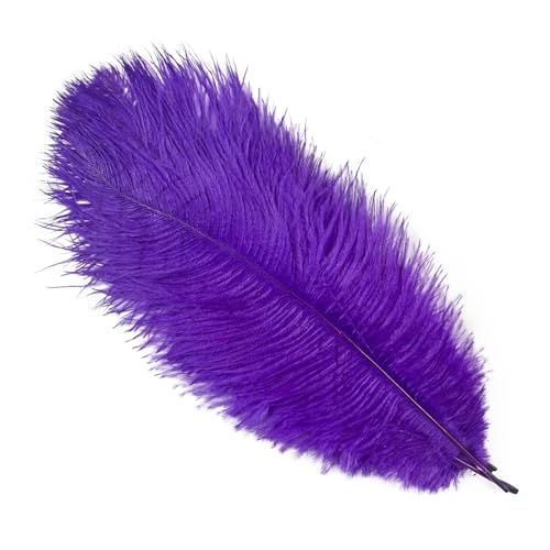 TXLEAPEY StraußEnfedern 10 STÜCKE 15-60 cm Große Straußenfedern Straußenfedern Tischdekoration Party Hochzeit Zubehör Dekoration(Deep Purple,25-30cm) von TXLEAPEY