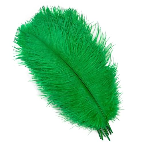 TXLEAPEY StraußEnfedern 10 STÜCKE 15-60 cm Große Straußenfedern Straußenfedern Tischdekoration Party Hochzeit Zubehör Dekoration(Grass Green,15-20cm) von TXLEAPEY