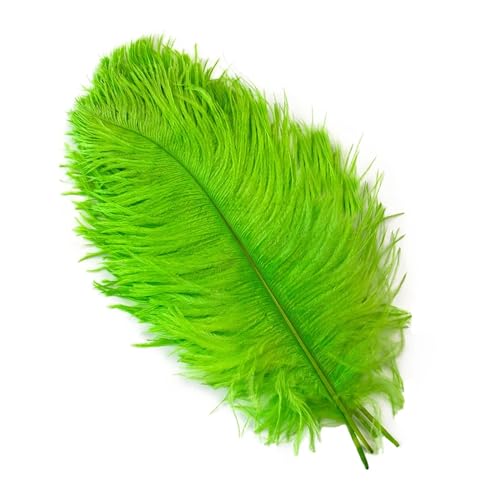 TXLEAPEY StraußEnfedern 10 STÜCKE 15-60 cm Große Straußenfedern Straußenfedern Tischdekoration Party Hochzeit Zubehör Dekoration(Green,15-20cm) von TXLEAPEY