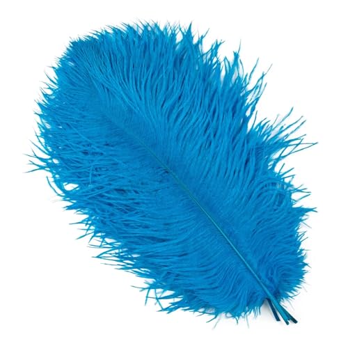 TXLEAPEY StraußEnfedern 10 STÜCKE 15-60 cm Große Straußenfedern Straußenfedern Tischdekoration Party Hochzeit Zubehör Dekoration(Lake Blue,15-20cm) von TXLEAPEY