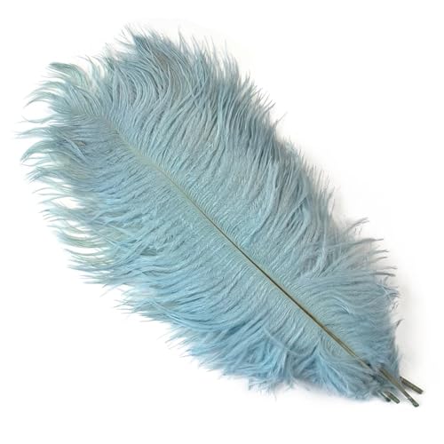 TXLEAPEY StraußEnfedern 10 STÜCKE 15-60 cm Große Straußenfedern Straußenfedern Tischdekoration Party Hochzeit Zubehör Dekoration(Light Blue,45-50cm) von TXLEAPEY