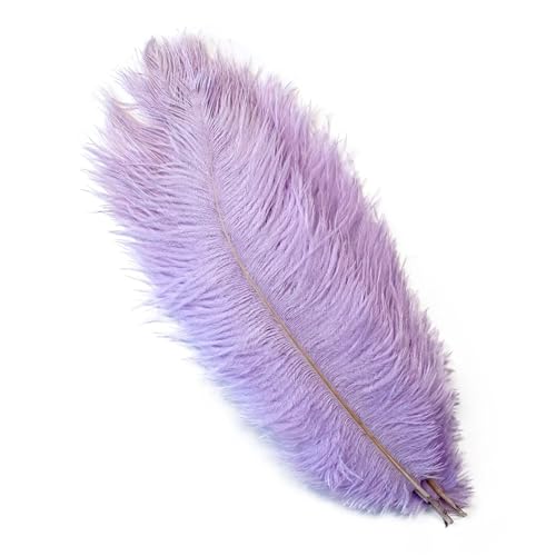 TXLEAPEY StraußEnfedern 10 STÜCKE 15-60 cm Große Straußenfedern Straußenfedern Tischdekoration Party Hochzeit Zubehör Dekoration(Light Purple,30-35cm) von TXLEAPEY