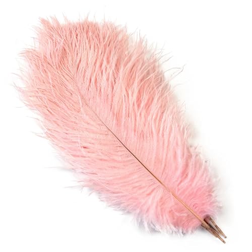 TXLEAPEY StraußEnfedern 10 STÜCKE 15-60 cm Große Straußenfedern Straußenfedern Tischdekoration Party Hochzeit Zubehör Dekoration(Light pink,25-30cm) von TXLEAPEY