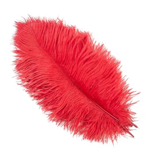 TXLEAPEY StraußEnfedern 10 STÜCKE 15-60 cm Große Straußenfedern Straußenfedern Tischdekoration Party Hochzeit Zubehör Dekoration(Red,25-30cm) von TXLEAPEY