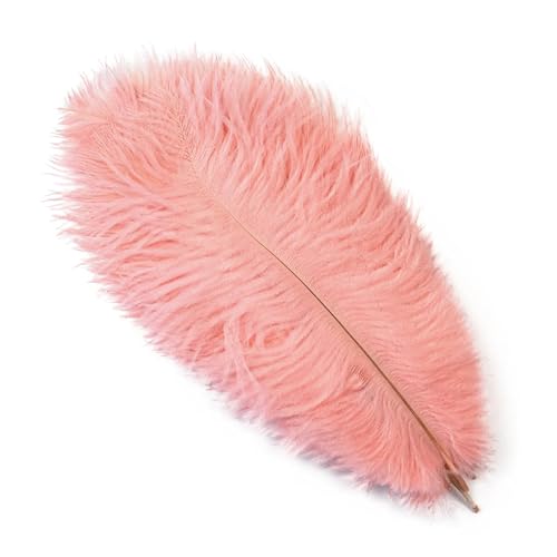 TXLEAPEY StraußEnfedern 10 STÜCKE 15-60 cm Große Straußenfedern Straußenfedern Tischdekoration Party Hochzeit Zubehör Dekoration(Shrimp pink,30-35cm) von TXLEAPEY