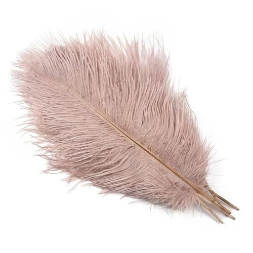 TXLEAPEY StraußEnfedern 10 STÜCKE 15-60 cm Große Straußenfedern Straußenfedern Tischdekoration Party Hochzeit Zubehör Dekoration(Vail Pink,30-35cm) von TXLEAPEY