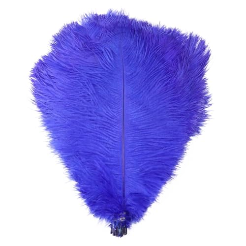 TXLEAPEY StraußEnfedern 10 STÜCKE Farbige Straußenfedern 15-60 cm for Handwerk Karneval Hochzeit DIY Tischdekoration Flauschige Straußenfedern Zubehör Groß(Blue,35-40cm) von TXLEAPEY