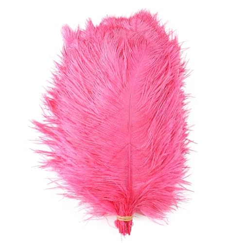 TXLEAPEY StraußEnfedern 10 STÜCKE Farbige Straußenfedern 15-60 cm for Handwerk Karneval Hochzeit DIY Tischdekoration Flauschige Straußenfedern Zubehör Groß(Dark Leather pink,35-40cm) von TXLEAPEY