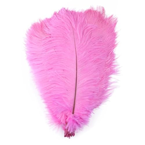 TXLEAPEY StraußEnfedern 10 STÜCKE Farbige Straußenfedern 15-60 cm for Handwerk Karneval Hochzeit DIY Tischdekoration Flauschige Straußenfedern Zubehör Groß(Dark Pink,15-20cm) von TXLEAPEY