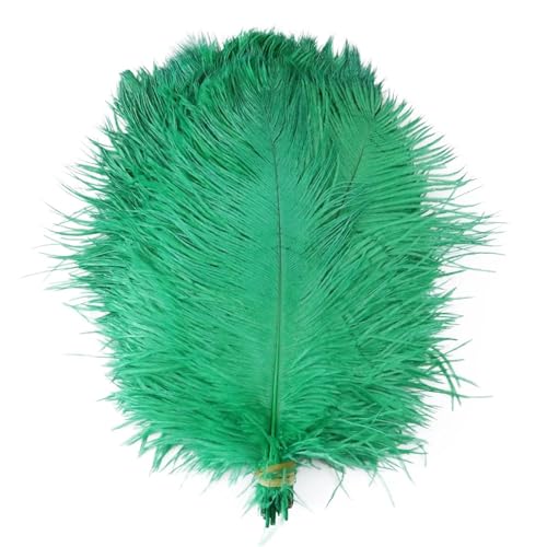 TXLEAPEY StraußEnfedern 10 STÜCKE Farbige Straußenfedern 15-60 cm for Handwerk Karneval Hochzeit DIY Tischdekoration Flauschige Straußenfedern Zubehör Groß(Grass Green,35-40cm) von TXLEAPEY