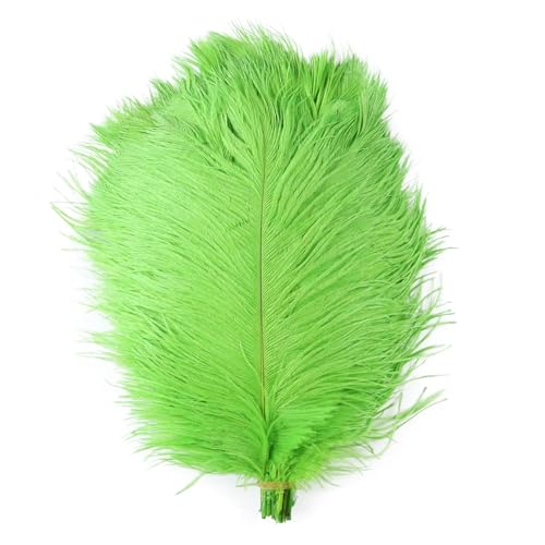 TXLEAPEY StraußEnfedern 10 STÜCKE Farbige Straußenfedern 15-60 cm for Handwerk Karneval Hochzeit DIY Tischdekoration Flauschige Straußenfedern Zubehör Groß(Green,15-20cm) von TXLEAPEY