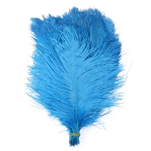 TXLEAPEY StraußEnfedern 10 STÜCKE Farbige Straußenfedern 15-60 cm for Handwerk Karneval Hochzeit DIY Tischdekoration Flauschige Straußenfedern Zubehör Groß(Lake Blue,15-20cm) von TXLEAPEY