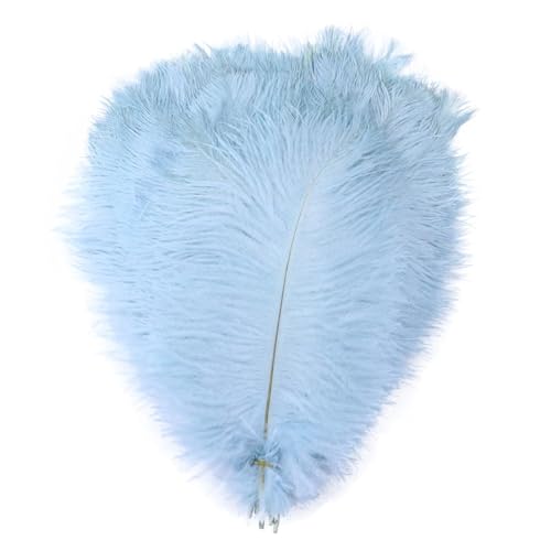 TXLEAPEY StraußEnfedern 10 STÜCKE Farbige Straußenfedern 15-60 cm for Handwerk Karneval Hochzeit DIY Tischdekoration Flauschige Straußenfedern Zubehör Groß(Light Blue,15-20cm) von TXLEAPEY