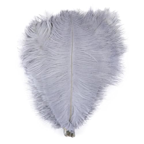 TXLEAPEY StraußEnfedern 10 STÜCKE Farbige Straußenfedern 15-60 cm for Handwerk Karneval Hochzeit DIY Tischdekoration Flauschige Straußenfedern Zubehör Groß(Light Gray,25-30cm) von TXLEAPEY