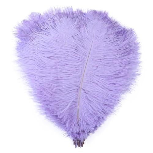 TXLEAPEY StraußEnfedern 10 STÜCKE Farbige Straußenfedern 15-60 cm for Handwerk Karneval Hochzeit DIY Tischdekoration Flauschige Straußenfedern Zubehör Groß(Light Purple,35-40cm) von TXLEAPEY