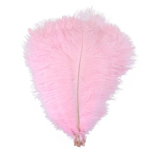 TXLEAPEY StraußEnfedern 10 STÜCKE Farbige Straußenfedern 15-60 cm for Handwerk Karneval Hochzeit DIY Tischdekoration Flauschige Straußenfedern Zubehör Groß(Light pink,15-20cm) von TXLEAPEY