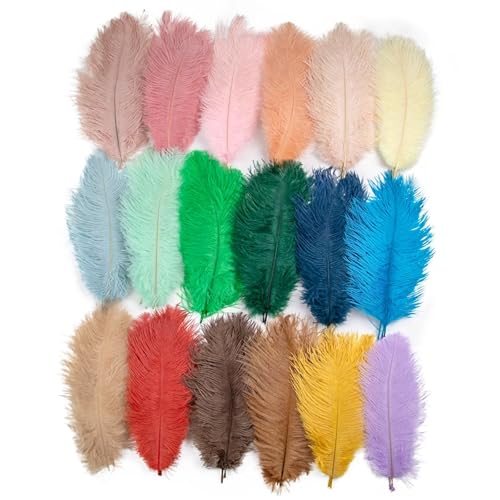 TXLEAPEY StraußEnfedern 10 STÜCKE Farbige Straußenfedern 15-60 cm for Handwerk Karneval Hochzeit DIY Tischdekoration Flauschige Straußenfedern Zubehör Groß(Mixed Color,55-60cm) von TXLEAPEY