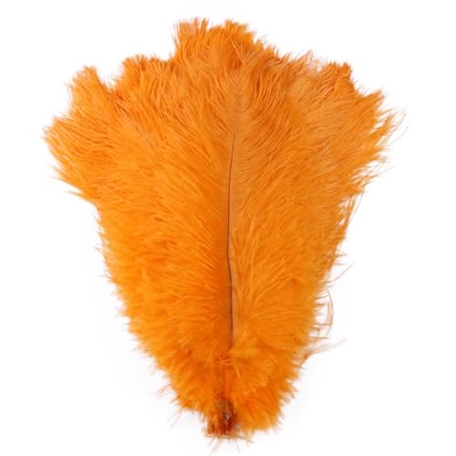 TXLEAPEY StraußEnfedern 10 STÜCKE Farbige Straußenfedern 15-60 cm for Handwerk Karneval Hochzeit DIY Tischdekoration Flauschige Straußenfedern Zubehör Groß(Orange,15-20cm) von TXLEAPEY