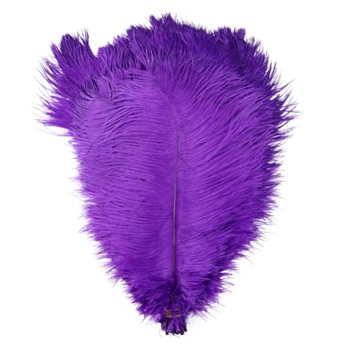 TXLEAPEY StraußEnfedern 10 STÜCKE Farbige Straußenfedern 15-60 cm for Handwerk Karneval Hochzeit DIY Tischdekoration Flauschige Straußenfedern Zubehör Groß(Purple,25-30cm) von TXLEAPEY