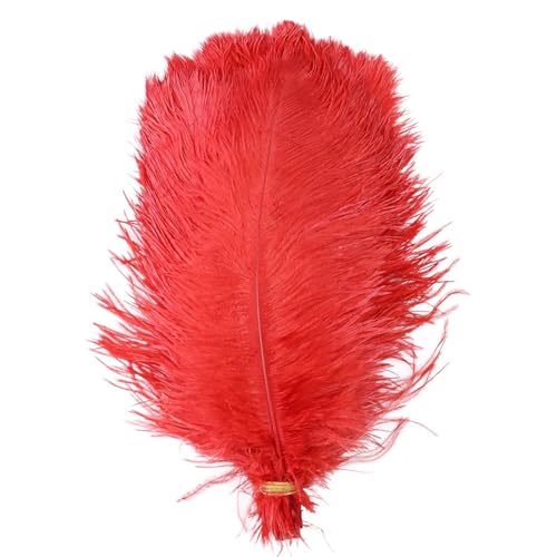 TXLEAPEY StraußEnfedern 10 STÜCKE Farbige Straußenfedern 15-60 cm for Handwerk Karneval Hochzeit DIY Tischdekoration Flauschige Straußenfedern Zubehör Groß(Red,15-20cm) von TXLEAPEY