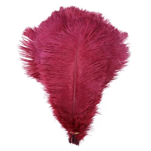 TXLEAPEY StraußEnfedern 10 STÜCKE Farbige Straußenfedern 15-60 cm for Handwerk Karneval Hochzeit DIY Tischdekoration Flauschige Straußenfedern Zubehör Groß(Red Wine,15-20cm) von TXLEAPEY