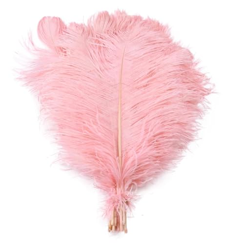 TXLEAPEY StraußEnfedern 10 STÜCKE Farbige Straußenfedern 15-60 cm for Handwerk Karneval Hochzeit DIY Tischdekoration Flauschige Straußenfedern Zubehör Groß(Shrimp pink,35-40cm) von TXLEAPEY