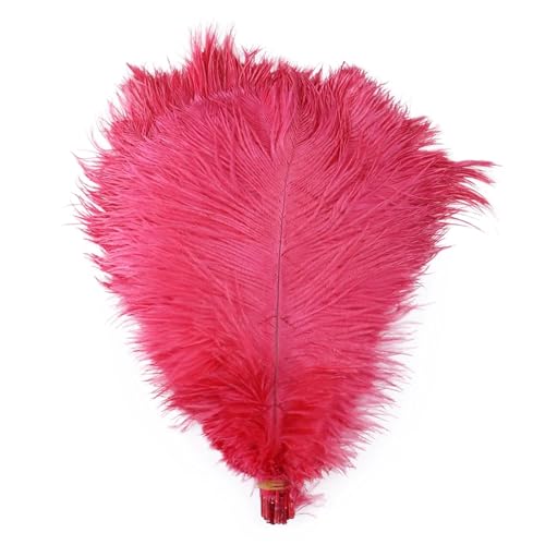 TXLEAPEY StraußEnfedern 10 STÜCKE Farbige Straußenfedern 15-60 cm for Handwerk Karneval Hochzeit DIY Tischdekoration Flauschige Straußenfedern Zubehör Groß(West Red,15-20cm) von TXLEAPEY