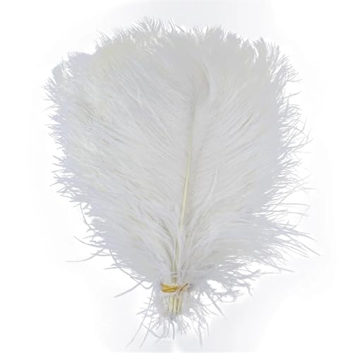 TXLEAPEY StraußEnfedern 10 STÜCKE Farbige Straußenfedern 15-60 cm for Handwerk Karneval Hochzeit DIY Tischdekoration Flauschige Straußenfedern Zubehör Groß(White,55-60cm) von TXLEAPEY