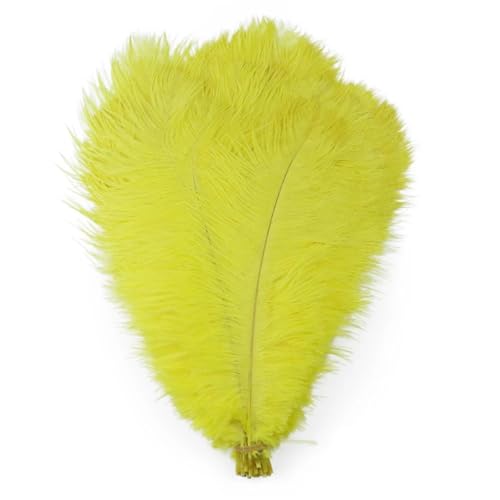 TXLEAPEY StraußEnfedern 10 STÜCKE Farbige Straußenfedern 15-60 cm for Handwerk Karneval Hochzeit DIY Tischdekoration Flauschige Straußenfedern Zubehör Groß(Yellow,25-30cm) von TXLEAPEY