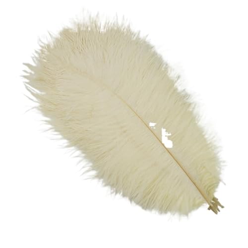 TXLEAPEY StraußEnfedern 10 Stück Bunte Straußenfedern, Bastelzubehör, Traumfänger, Dekoration, Schmuckherstellung, natürliche Federn, Tischdekoration(Beige,15-20cm 6-8inch) von TXLEAPEY