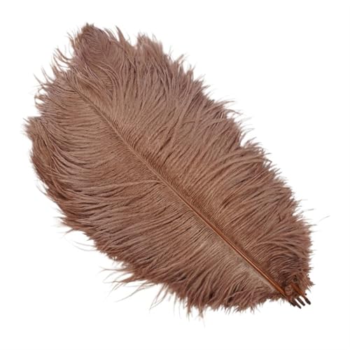 TXLEAPEY StraußEnfedern 10 Stück Bunte Straußenfedern, Bastelzubehör, Traumfänger, Dekoration, Schmuckherstellung, natürliche Federn, Tischdekoration(Brown,20-25cm 8-10inch) von TXLEAPEY