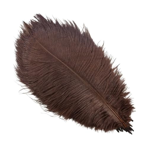 TXLEAPEY StraußEnfedern 10 Stück Bunte Straußenfedern, Bastelzubehör, Traumfänger, Dekoration, Schmuckherstellung, natürliche Federn, Tischdekoration(Dark Brown,35-40cm 14-16inch) von TXLEAPEY