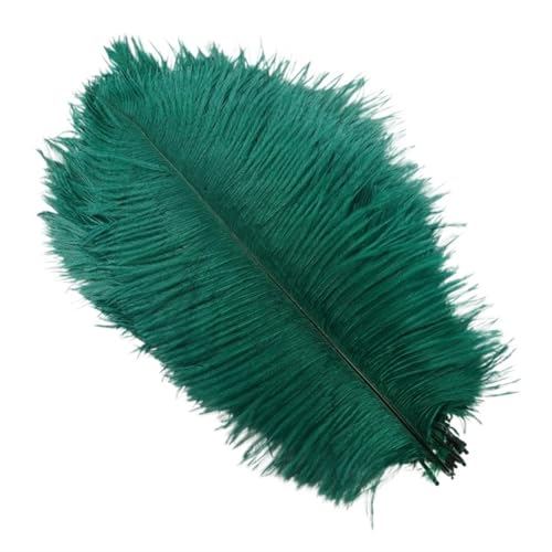 TXLEAPEY StraußEnfedern 10 Stück Bunte Straußenfedern, Bastelzubehör, Traumfänger, Dekoration, Schmuckherstellung, natürliche Federn, Tischdekoration(Dark Green,15-20cm 6-8inch) von TXLEAPEY