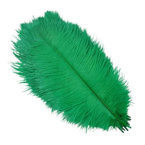 TXLEAPEY StraußEnfedern 10 Stück Bunte Straußenfedern, Bastelzubehör, Traumfänger, Dekoration, Schmuckherstellung, natürliche Federn, Tischdekoration(Grass Green,15-20cm 6-8inch) von TXLEAPEY