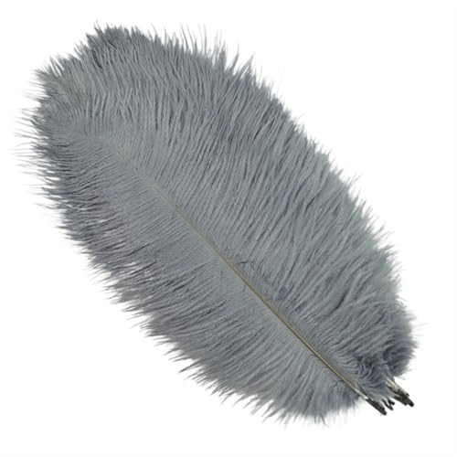 TXLEAPEY StraußEnfedern 10 Stück Bunte Straußenfedern, Bastelzubehör, Traumfänger, Dekoration, Schmuckherstellung, natürliche Federn, Tischdekoration(Gray,25-30cm 10-12inch) von TXLEAPEY