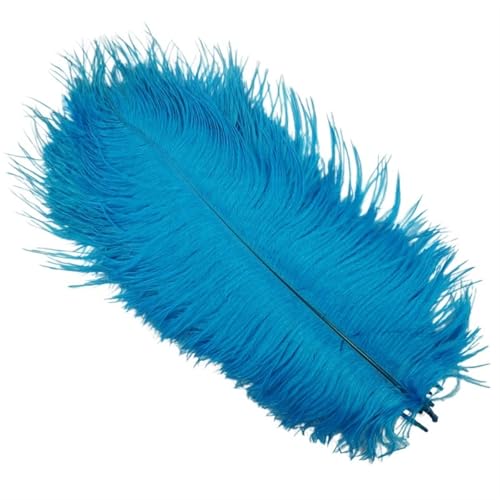 TXLEAPEY StraußEnfedern 10 Stück Bunte Straußenfedern, Bastelzubehör, Traumfänger, Dekoration, Schmuckherstellung, natürliche Federn, Tischdekoration(Lake Blue,15-20cm 6-8inch) von TXLEAPEY