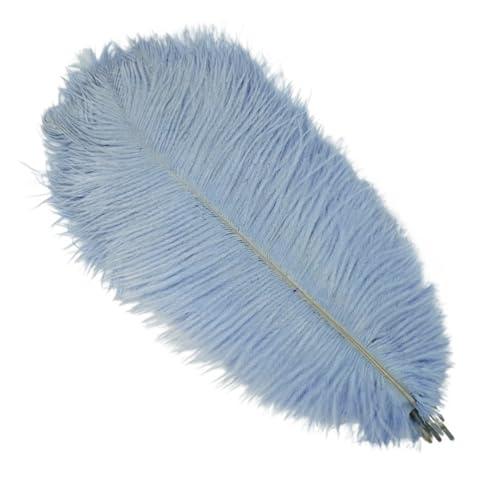 TXLEAPEY StraußEnfedern 10 Stück Bunte Straußenfedern, Bastelzubehör, Traumfänger, Dekoration, Schmuckherstellung, natürliche Federn, Tischdekoration(Light Blue,30-35cm 12-14inch) von TXLEAPEY