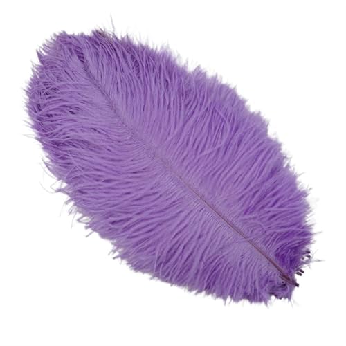 TXLEAPEY StraußEnfedern 10 Stück Bunte Straußenfedern, Bastelzubehör, Traumfänger, Dekoration, Schmuckherstellung, natürliche Federn, Tischdekoration(Light Purple,20-25cm 8-10inch) von TXLEAPEY